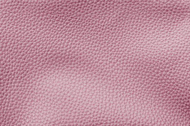 Pink leather grain texture