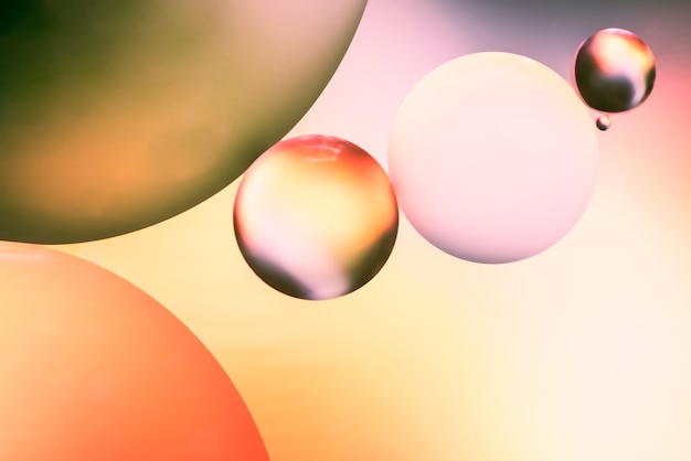 Free Photo pink and orange abstract background with bubbles