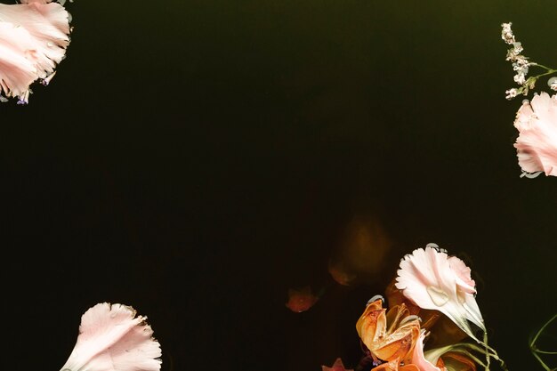 Pink and orange flowers in black water with copy space