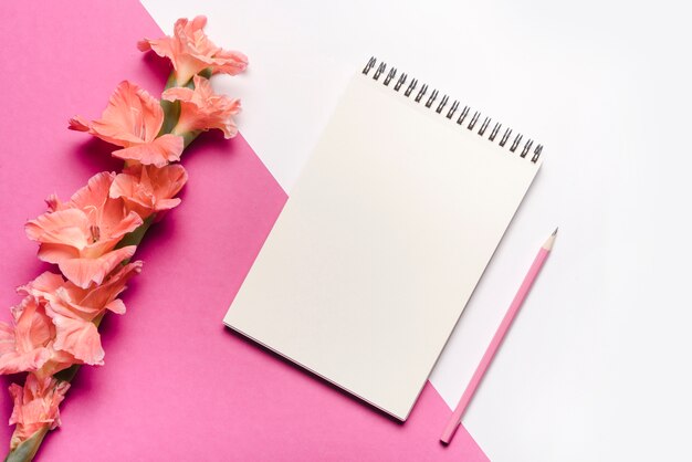 Pink pencil; blank spiral notepad with beautiful flowers on pink and white dual background