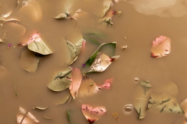 Pink petals and leaves in brown water