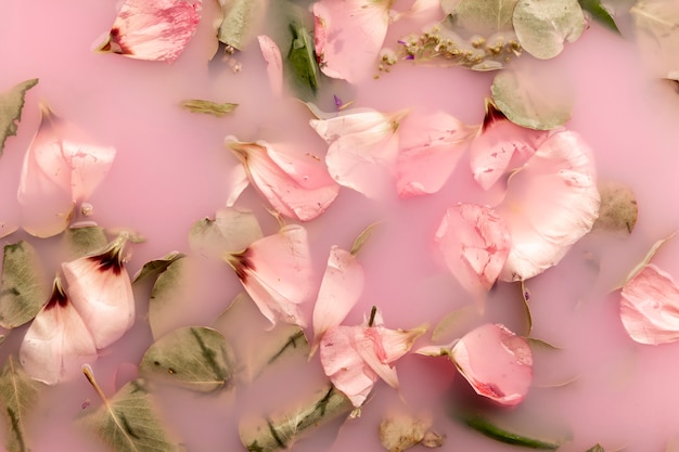 Free photo pink petals in pink colored water