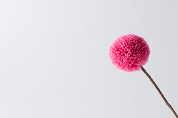 Pink pom pom with copy space