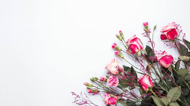 Free photo pink rose flowers on light table