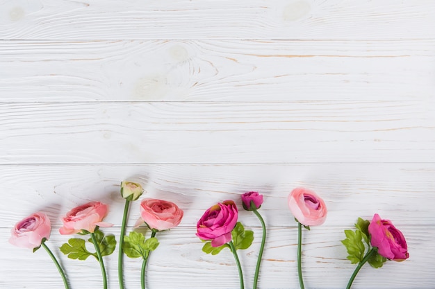 Free photo pink rose flowers scattered on wooden table