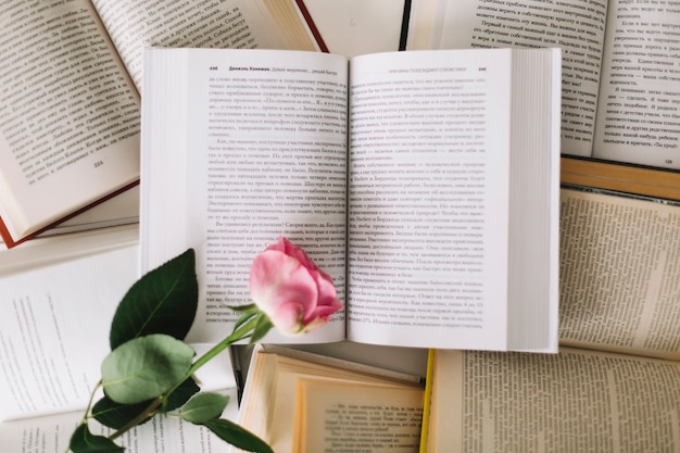 Pink rose on opened books