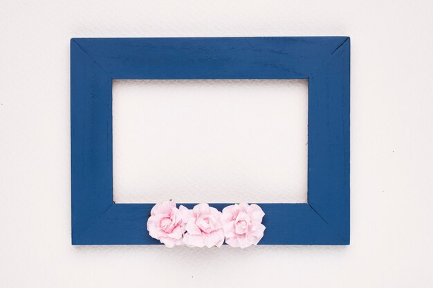 Pink roses on blue border frame over white backdrop