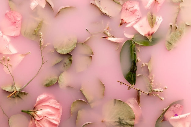 Pink roses and leaves in pink colored water