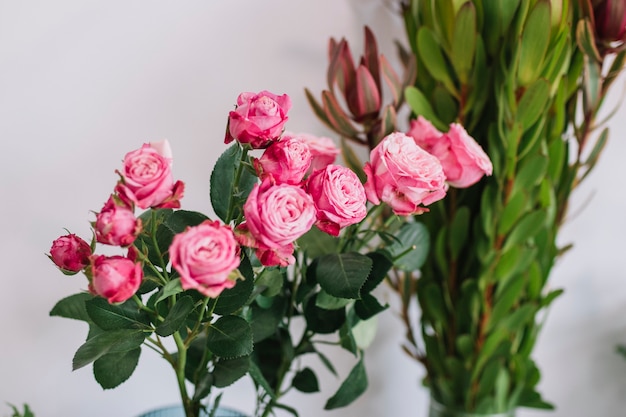 Free Photo pink roses with green stems