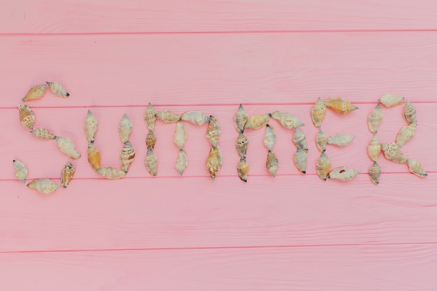 Pink surface with decorative seashells for summer