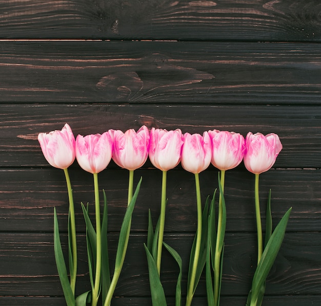 Pink tulip flowers scattered on wooden table