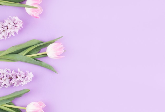 Pink tulips with flowers on purple table