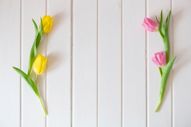 Pink and yellow tulips on wooden surface