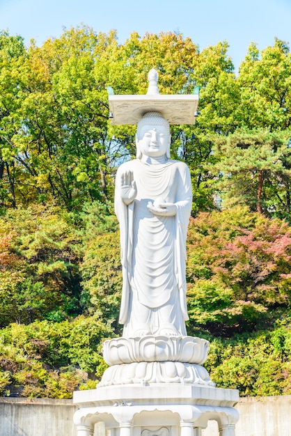 Free Photo place skyline traditional buddhism famous