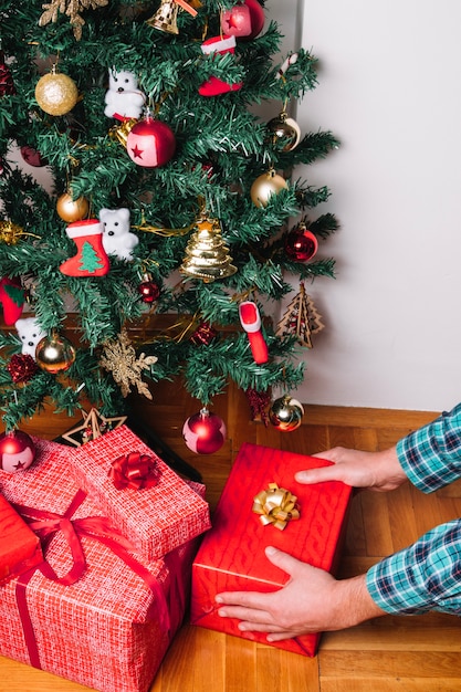 Placing present box under christmas tree