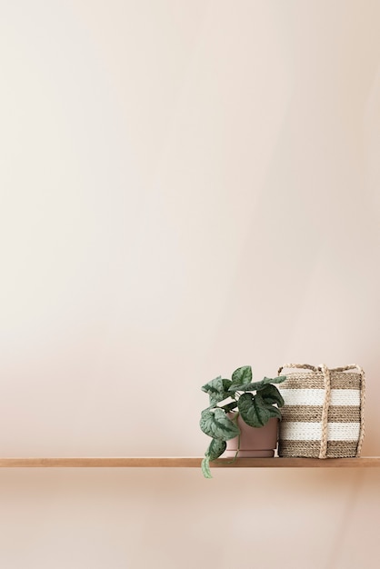 Free photo plant and basket on a shelf