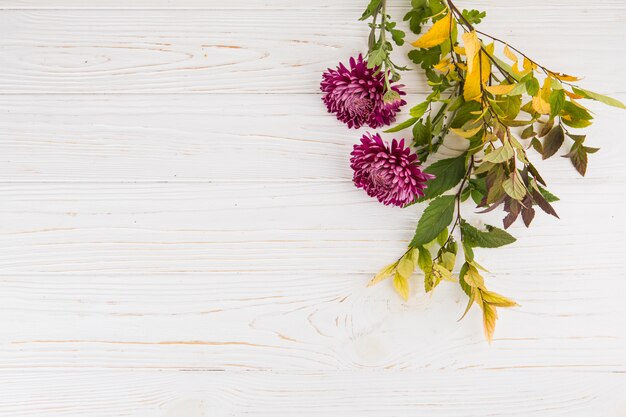 Plant branches with purple flowers on table