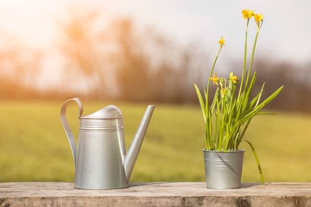 Free photo plant and garden still life