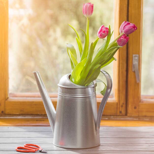 Plant and garden still life