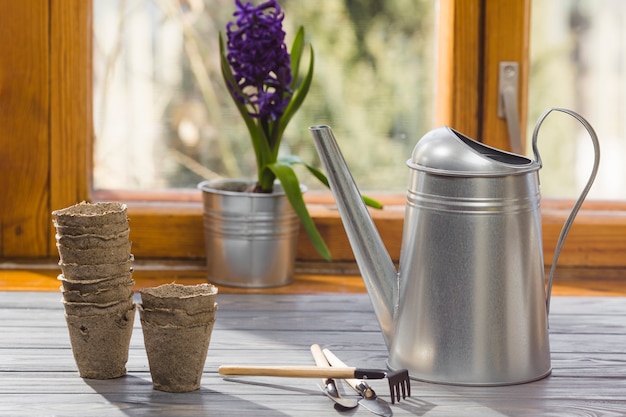 Plant and garden still life