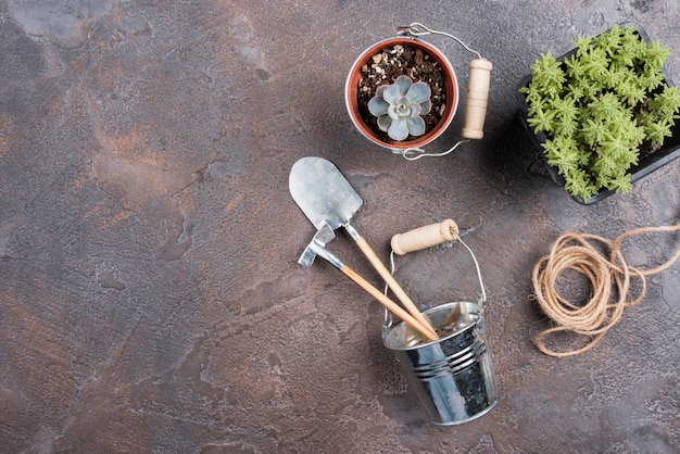 Plant and gardening tools with copy space