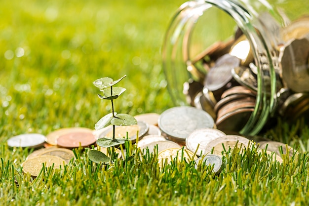 Free Photo plant growing in coins glass jar for money on green grass