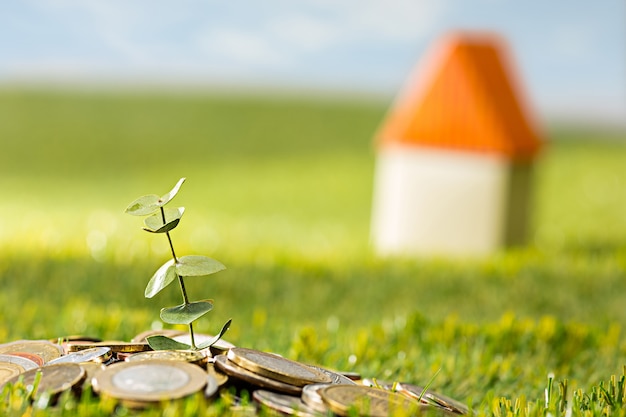 Free Photo plant growing in coins glass jar for money on green grass