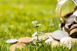 Free photo plant growing in coins glass jar for money on green grass