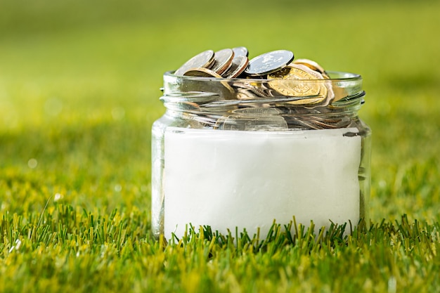 Free photo plant growing in coins glass jar for money on green grass