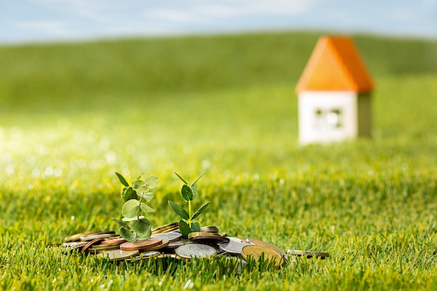 Plant growing in Coins glass jar for money on green grass