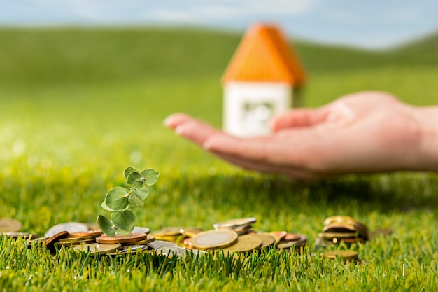 Plant growing in Coins glass jar for money on green grass