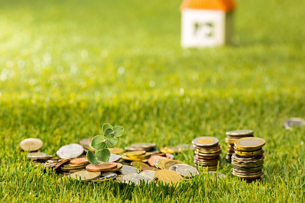 Plant growing in Coins glass jar for money on green grass