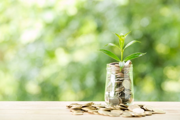 Free Photo plant growing from coins in the glass jar on blurred nature