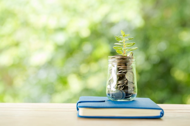 Free photo plant growing from coins in the glass jar on blurred nature