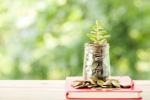 Plant Growing In Savings Coins