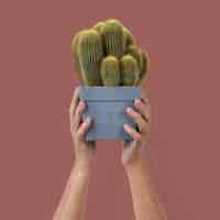 Free photo plant parent holding potted cactus