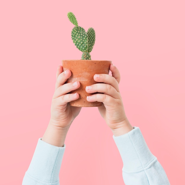 Free Photo plant parent holding potted cactus