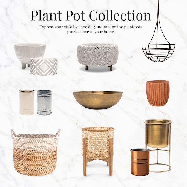 Free Photo plant pot collection home decor