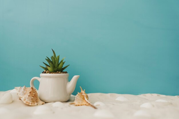 Plant on sand