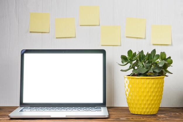 Plant and sticky notes near laptop