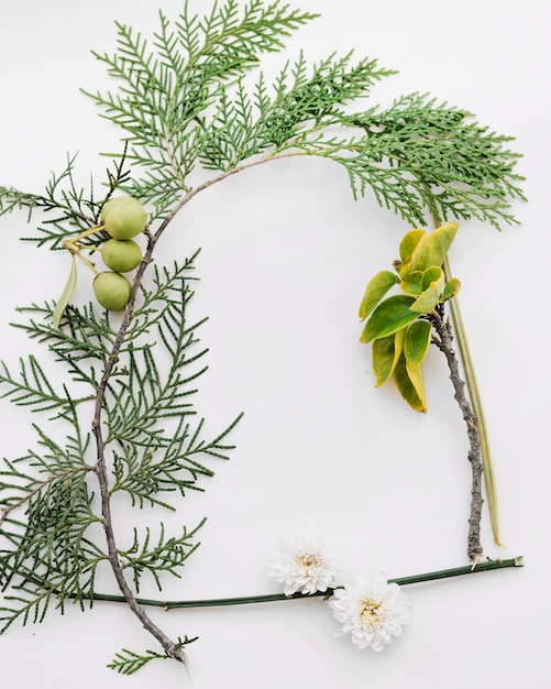 Plant twigs and flowers