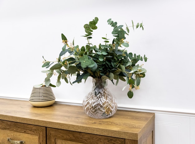 Plant in vase on wooden furniture high angle