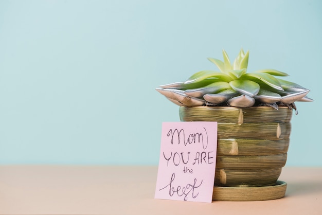 Plant with note for mother's day