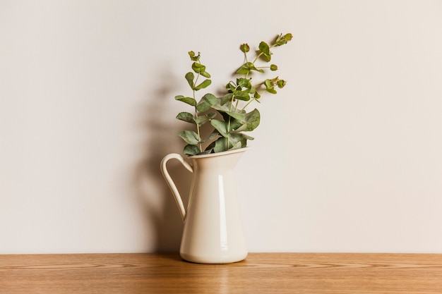 Free Photo plant on wooden surface