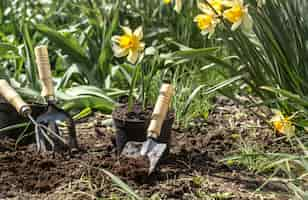 Free photo planting flowers in the garden, garden tools, flowers