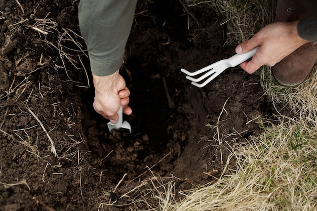 Free photo planting trees as part of reforestation process