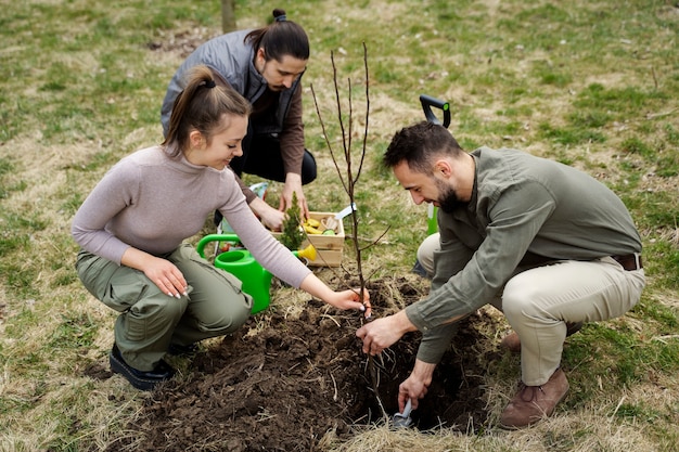 Free photo planting trees as part of reforestation process