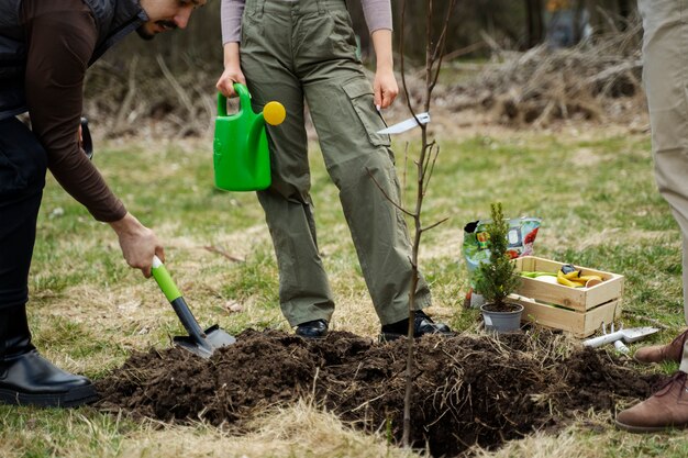 Planting trees as part of reforestation process