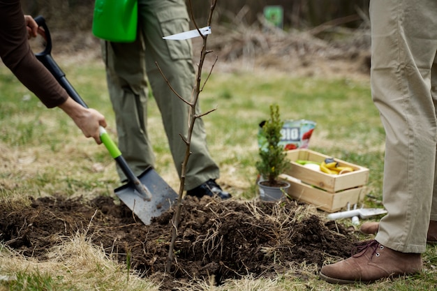 Free photo planting trees as part of reforestation process