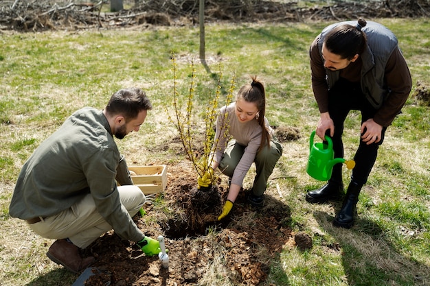 Planting trees as part of reforestation process